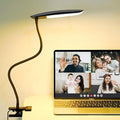 LiFMIRA Clip on Lamp USB Reading Light 3 Color Modes 3000-6000K and 10 Brightness 8W 40 LED Flexible Gooseneck Desk Light Clip on Lamp for Desk Eye Caring Bed Lamp for Headboard (No Plug)