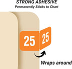 2025 Year Stickers, Doctor Stuff 2025 Chart Stickers, Orange/White Color Coded, Ringbook Sheets, Reynolds & Reynolds Style, USA Made Year Labels for End Tab File Folders, 270/Package, 3/4" x 1-1/2"