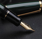 xixixiaozhu Metal Big Fountain Pen Set Medium Nib 0.7mm, Includes Ink Refill Converter, 5 Ink Cartridges & Gift Box (Medium Nib 0.7mm, Green)