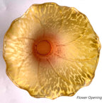 Bieye LS25 Lily Flower Blown Glass Lampshade (Orange Yellow, Opening I.D. 1.26" x O.D. 1.5")