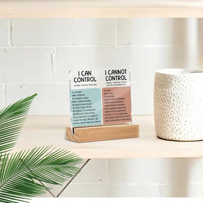 Mental Health Desk Decor Things I Can Control Acrylic Sign, Inspirational Gifts for Women Men Coworkers, Therapist Office Art Decor for Desk Gadgets Table Top Cubicle Living Room Bedroom Decorations 1