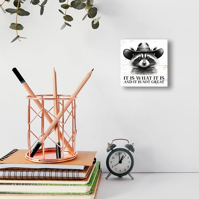 WUZYOU Humor Team Wooden Block Sign, It Is What It Is and It Is Not Great 5x5x1 INCH Sign, Teacher Therapist Office Sarcasm Decor