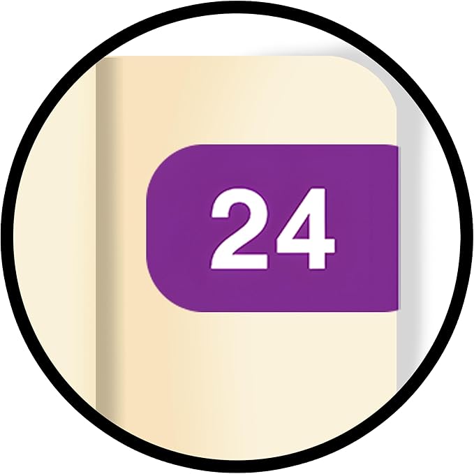 2024 MINI Year Labels, Doctor Stuff 2024 Chart Stickers, Purple Color Coded, Ames Small Style, USA Made Year Stickers for End Tab File Folders, 500/Roll, 1 Roll, 1/2" x 1-1/2"