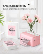 JADENS 4X6 Thermal Direct Shipping Label Compatible with JADENS MUNBYN, IDPRT, Rollo, Postage Label Paper for Small Businesses, 250 Labels/Pack, Pink