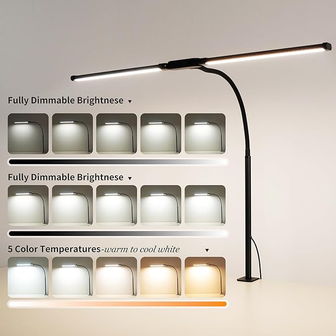 FAPEMIH Dual-Head LED Desk Lamp for Office Home, Adjustable Flexible Eye-Caring Desk Light, 5 Modes 10 Brightness Adjustment, USB Adapter Desk Lamp with Clamp-ST-B
