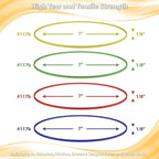 Bilinny Large Heavy Duty Rubber Bands - 7x1/8", 1 Lb. (Approx. 240) Assorted Colored Rubber Bands, Made in USA