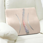 AHUAWA Lumbar Support Pillow for Recliner Chair and Couch, Memory Foam Back Cushion Ergonomic Large Back Support Pillow for Lower Back Pain Relief, with Soft Velvet