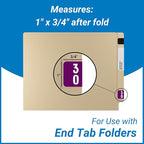 Doctor Stuff - File Folder Labels, Terminal Digit Filing, Consecutive Double Digit Numbers 30-39, Compatible with SMEAD DDS - SMDM Series Chart Stickers, Purple, 1" x 1-1/2", 500/Roll