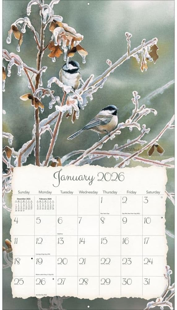 Lang Songbirds 2026 Wall Calendar – 13.4" × 12", 12-Month Calendar with Stapled Binding, Linen-Embossed Art by Susan Bourdet, Colorful Bird Illustrations