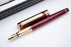 czxwyst Picasso 902 Gentleman Collection Fountain Pen Original Box (Carnelian)