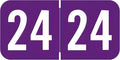 2024 Year Labels, Doctor Stuff 2024 Chart Stickers, Purple Color Coded, S & W/Acme Style, USA Made Year Stickers for End Tab File Folders, 500/Roll, 1 Roll, 3/4" x 1-1/2"
