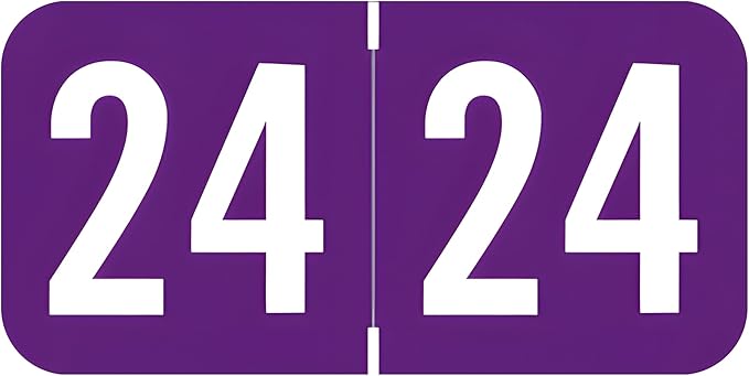 2024 Year Labels, Doctor Stuff 2024 Chart Stickers, Purple Color Coded, S & W/Acme Style, USA Made Year Stickers for End Tab File Folders, 500/Roll, 1 Roll, 3/4" x 1-1/2"