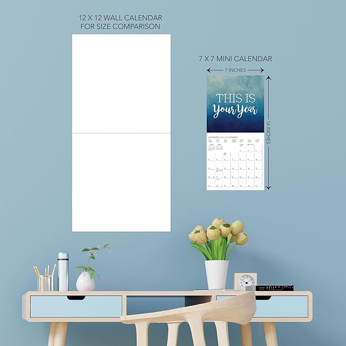 Graphique 2026 Best Day Ever Mini Wall Calendar | 7” x 7” | Thick Paper | Home & Office Organizer | Large Monthly Grid | 3 Languages & Marked Holidays | 4 Month Preview Page for 2027