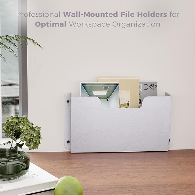 OSKIE DR POCKET RACK Wall-Mounted File Rack, Single Pocket, Metal Organizer for Letter-Sized Documents, Space-Saving Desktop Organizer, 14 x 2.5 x 7.5 inches (Graywhite)
