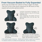 Ailuteie Lumbar Support Pillow(Pat. Pend) for Lower Back Pain Relief – Multi-Functional Ergonomic Lumbar Cushion, Reading Pillow for Office Chair, Car Seat & Sofa,Charcoal Gray