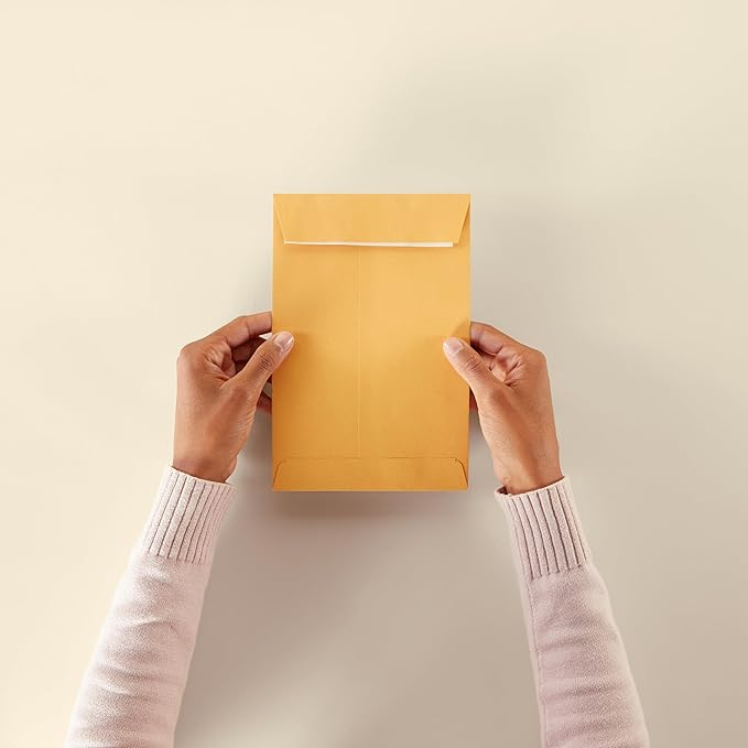 Amazon Basics Catalog Mailing Envelopes, Peel and Seal, 6x9 Inch, Brown Kraft, 250-Pack