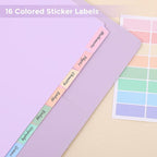 SKYDUE Durable Plastic 8-Tab Dividers, Big Tab Dividers for 3 Ring Binder, Write & Erase 3 Ring Binder Dividers with Tabs, with Sticker Labels, 1 Set, Pastel Color (Purple)