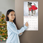 MICASA PRESS - Miniature Schnauzers 2025 Wall Calendar 12 Month | 12" x 24" Open | Thick & Sturdy Paper | Giftable | Calendar 2025