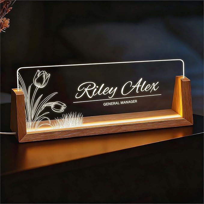 Light Up Desk Name Plate Personalized, Custom Office Sign for Boss Coworker Team, Employee Recognition Gifts, Modern Workplace Decor