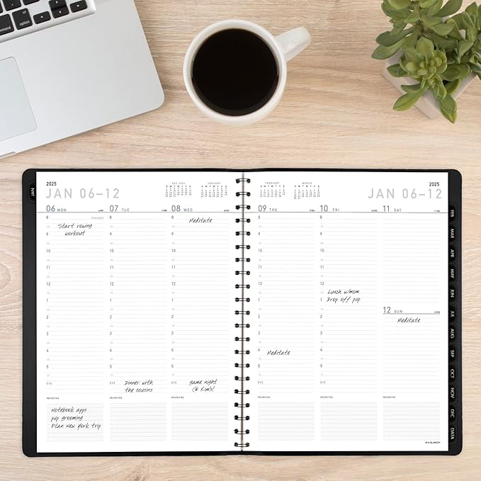 AT-A-GLANCE 2025 Appointment Book Planner, Weekly & Monthly, 8-1/4" x 11", Large, Half-Hourly, Contemporary, Black (70950X0525)