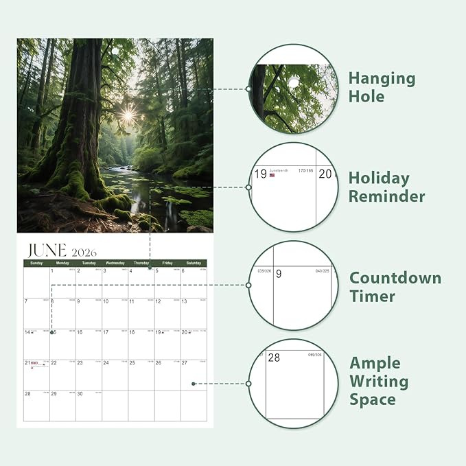 2026 Calendar, 2026 Wall Calendar, Monthly Calendars 12 Month Forest 12" x 24" Opened, Thick Glossy Paper for Organizing Planning, Ideal for Home Office