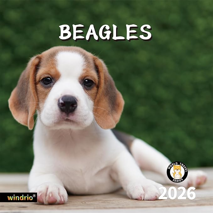 2026 Wall Calendar,Calendar 2026, November 2025 - December 2026, Wall Calendar Beagles, 12" x 24" Opened,Full Page Months Thick & Sturdy Paper for Calendar Organizing & Planning