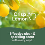 Clorox Disinfecting Cleaning Wipes Variety Pack, 75 Count Each, Pack of 2 (Package May Vary)