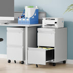 AFAIF 2 Drawer File Cabinet with Lock, Rolling File Cabinets for Home Office, Small Metal Filing Cabinet Office Drawers Under Desk for Letters/Legal/A4 Size, Assembly Required