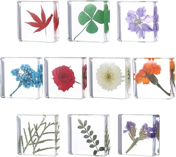 10Pcs Pressed Flower Paper Weights, Real Flower Resin Crafts, Pattern Weights,Paper Weights Decorative,Pressed Flower Ornament,Paper Weights for Office Desk,Specimen Collection for Science Educational