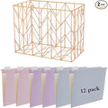 Fei Bi Hanging File Organizer, File Organizer, File Box, Rose Gold File Box, File Storage, equipped with 12 letter sized hanging folders
