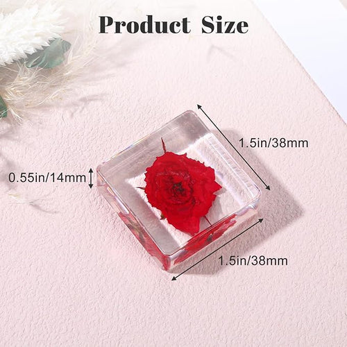 10Pcs Pressed Flower Paper Weights, Real Flower Resin Crafts, Pattern Weights,Paper Weights Decorative,Pressed Flower Ornament,Paper Weights for Office Desk,Specimen Collection for Science Educational