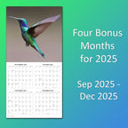 2026 Hummingbirds Monthly Wall Calendar | Animals Calendar 2025-2026
