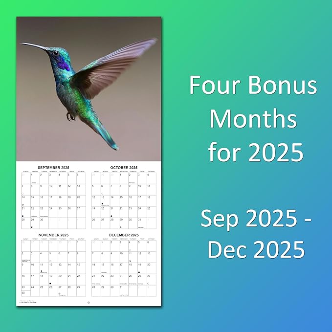 2026 Hummingbirds Monthly Wall Calendar | Animals Calendar 2025-2026