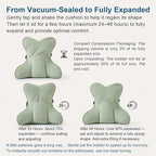 Ailuteie Ergonomic Lumbar Support Pillow(Pat. Pend) – Multi-Functional Back Cushion with Firm Support for Reading, Working & Driving,Celadon Green
