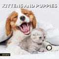 2026 Wall Calendar,Calendar 2026, November 2025 - December 2026, Wall Calendar Kittens and Puppies, 12" x 24" Opened,Full Page Months Thick & Sturdy Paper for Calendar Organizing & Planning