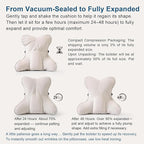 Ailuteie Lumbar Support Pillow(Pat. Pend) – Multi-Functional Ergonomic Back Cushion for Sofa Chair, Car Seat & Sofa, Reading Pillow with Firm Multi-Zone Support to Relieve Lower Back Pain, Misty White