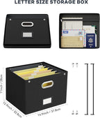 Oterri File Organizer Box with Lid,Large Hanging Filing Box with Mesh Pocket, Document c for Letter Files, Portable Storage Case with Smooth Sliding Rail for Office&Home (1 PCS, Black)