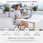 ZZWS Foldable Ergonomic Back and Lumbar Support with Adjustable Inflatable Lumbar Cushion for Good Posture Correction and Back Pain Relief, Perfect for Office, Floor Seat and Work from Home