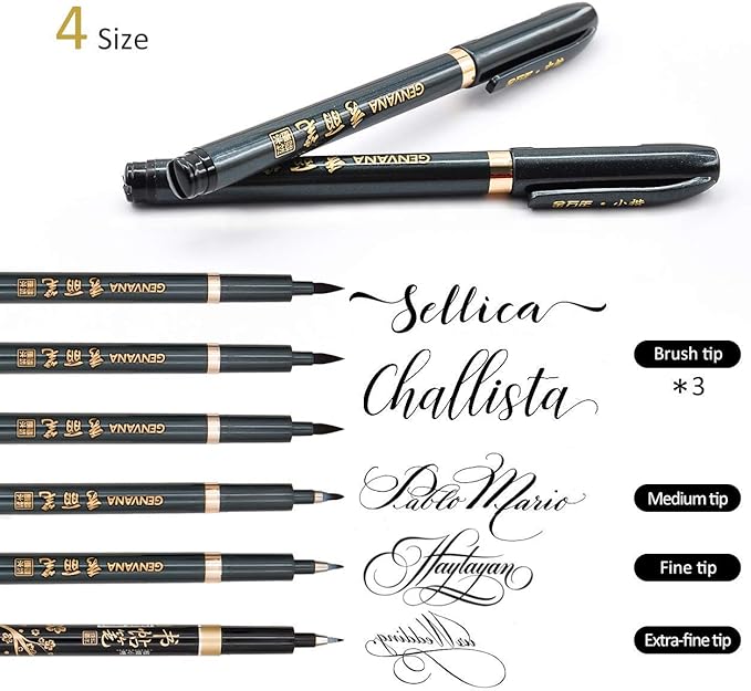 Rilanmit Hand Lettering Pens, Refillable Calligraphy Pens Brush Marker Pens Set Black, 4 Size for Writing, Painting, Drawing, Pack of 6