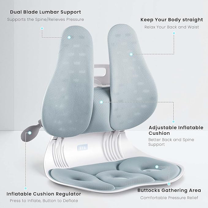 ZZWS Foldable Ergonomic Back Support with Adjustable Inflatable Lumbar Cushion, Posture Corrector for Desk Chairs, Comfortable Lumbar & Seat Cushion for Lower Back Pain Relief