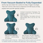 Ailuteie Lumbar Support Pillow(Pat. Pend) – Multi-Functional Ergonomic Back Cushion for Office Chair, Car Seat & Sofa, Reading Pillow with Firm Multi-Zone Support to Relieve Lower Back Pain,Slate Blue