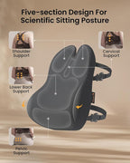 ProtoArc Lumbar Support Pillow for Office Chair, Memory Foam Back Support Pillow for Lower Back Fatigue Relief, Lumbar Pillow Desk Chair Back Cushion, Ergonomic Back Rest for Chair, Car - Dark Gray