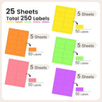 THEBLUETOUCH 2" x 4" Colored Labels Stickers, 5 Bright Colors Assorted Neon Labels for Laser/Inkjet Printers, 250 Printable Address Stickers (25 Sheets)