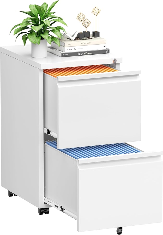 INTERGREAT 2 Drawer File Cabinet with Wheels, Metal Filling Cabinet with Lock, Locking Office Mobile Cabinet with Wheels for Legal/Letter Size, Under Desk, Easy Assemble, White