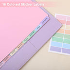 SKYDUE 8 Tab Durable Plastic Dividers,2Sets, Big Tab Dividers for 3 Ring Binder, Write&Erase 3 Ring Binder Dividers with Tabs, with Sticker Labels, Long-Lasting Plastic Pastels Binder Dividers