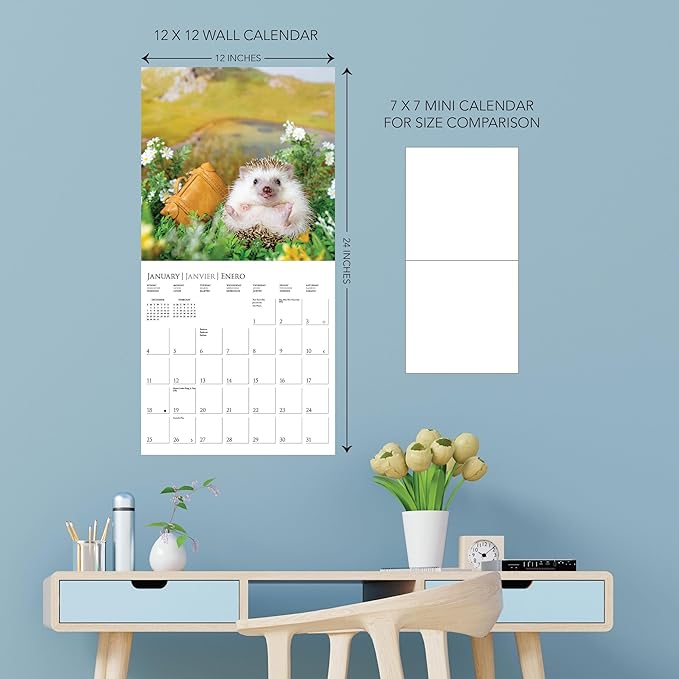 Graphique 2026 Happiest Hedgehogs Wall Calendar | 12” x 12” | Thick Paper | Home & Office Organizer | Large Monthly Grid | 3 Languages & Marked Holidays | 4 Month Preview Page for 2027