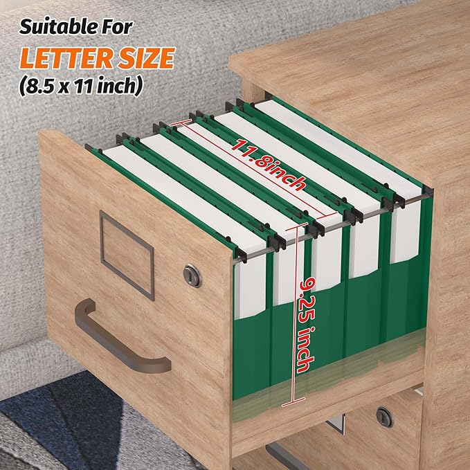 SHUTEX Extra Capacity Plastic Hanging File Folders,12 Pack Reinforced Expanding Hang Folder Letter Size,Accordian Pocket,Heavy Duty 2 Inch Expansion,Hanging Folder Organizer for Office Home,Green