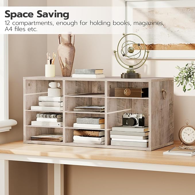 HOOBRO Countertop Mail Sorter Organizer, Wooden Literature Organizer, Student Mailbox for Classroom, Desktop Bill Organizer for Office Home School, 12 Compartments, Greige BG43WF01