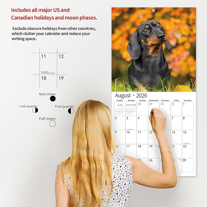 2026 Wall Calendar,Calendar 2026, November 2025 - December 2026, Wall Calendar Dachshund, 12" x 24" Opened,Full Page Months Thick & Sturdy Paper for Gift Perfect Calendar Organizing & Planning