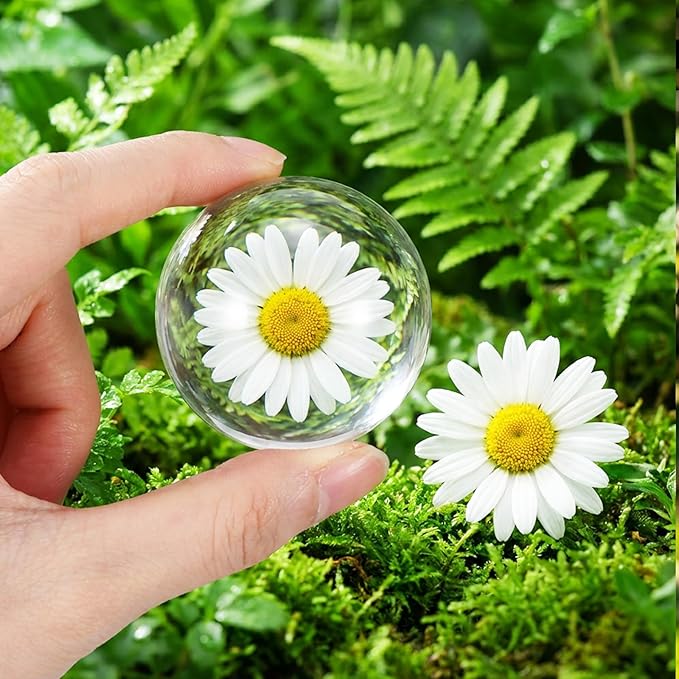 12 Pcs Crystal Dome Magnifying Paperweight, 6X Dome/Paperweight Magnifier Clear Distortion-Free Optics Convex Lens Set for Physics Classroom Home Decor, Paper Weights for Outdoor Events, 1.6inch